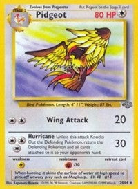 Pidgeot (24) [Jungle]