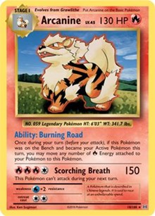 Arcanine [XY - Evolutions]