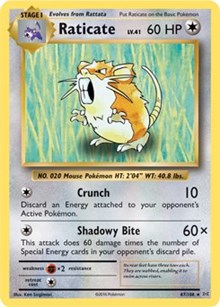 Raticate [XY - Evolutions]