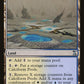 Calciform Pools [Time Spiral]