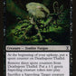Deathspore Thallid [Time Spiral]