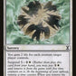Divine Congregation [Time Spiral]