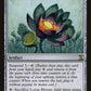 Lotus Bloom [Time Spiral]