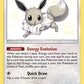 Eevee [Hidden Fates: Shiny Vault]