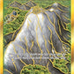 Mt. Coronet [Hidden Fates: Shiny Vault]
