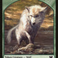 Wolf // Zombie Double-Sided Token [Commander 2015 Tokens]