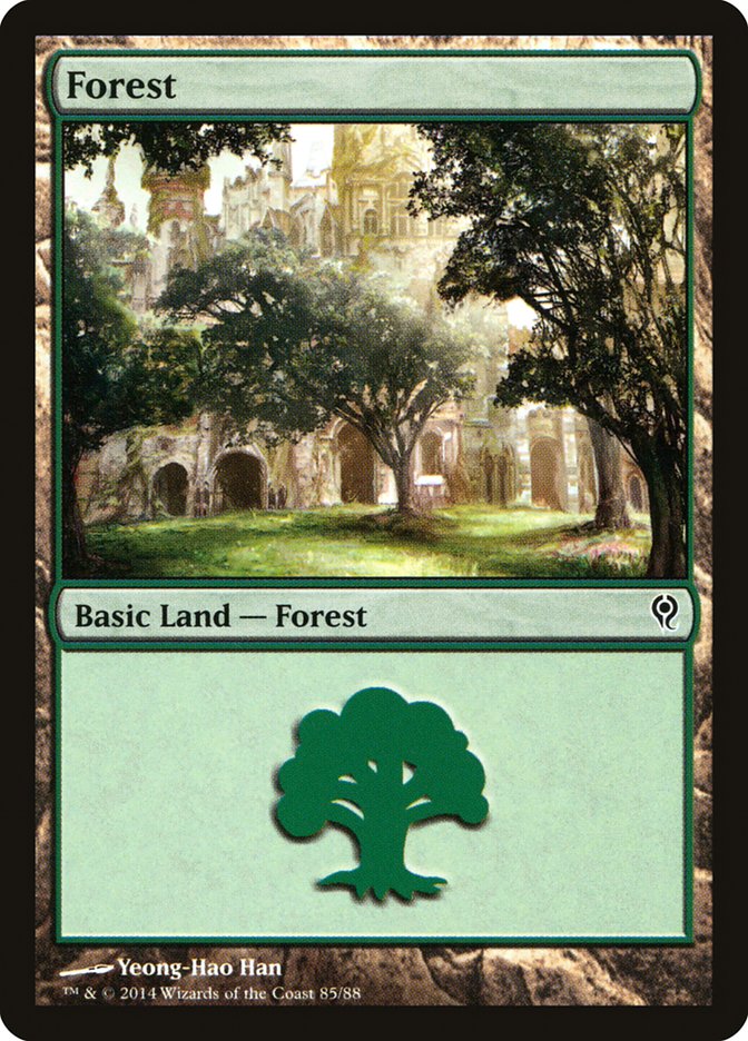 Forest [Duel Decks: Jace vs. Vraska]
