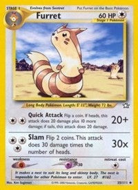 Furret [Neo Genesis]