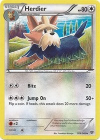 Herdier [XY Base Set]