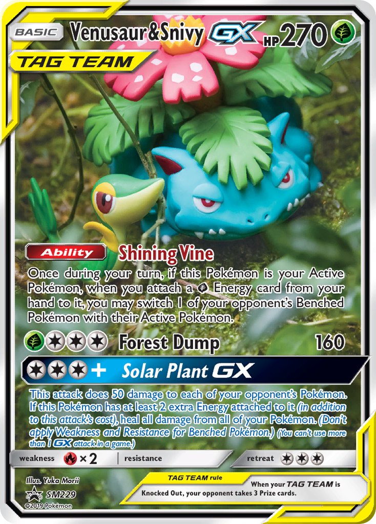 Venusaur & Snivy-GX [SM Black Star Promos]