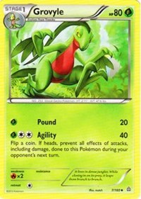 Grovyle [XY - Primal Clash]