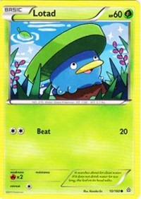 Lotad [XY - Primal Clash]