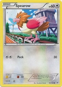 Spearow [XY - Roaring Skies]
