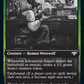 Infestation Expert // Infested Werewolf [Innistrad: Double Feature]