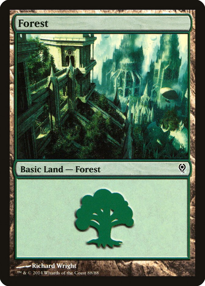 Forest [Duel Decks: Jace vs. Vraska]